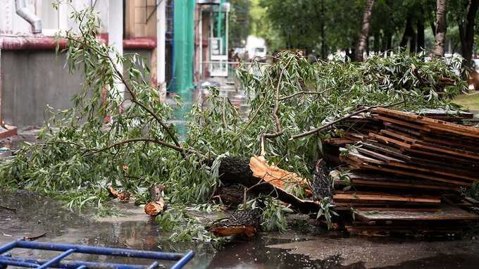 Число жертв непогоды в Приволжье выросло до десяти человек